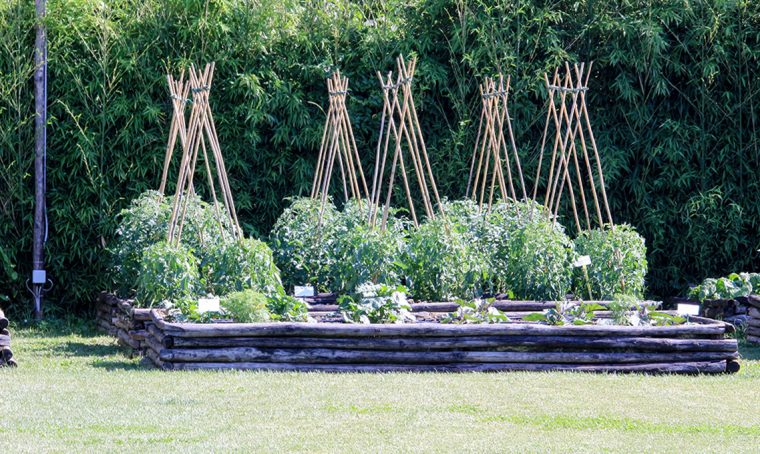 Gli orti ornamentali