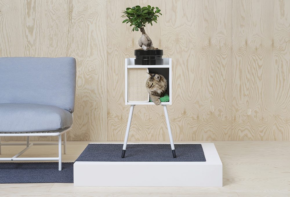 Idee shopping per gli animali domestici