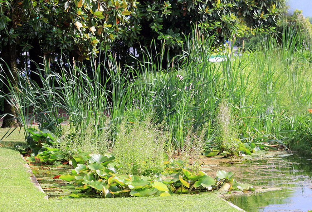 Piante Mati: lo storico vivaio pistoiese compie 110 anni