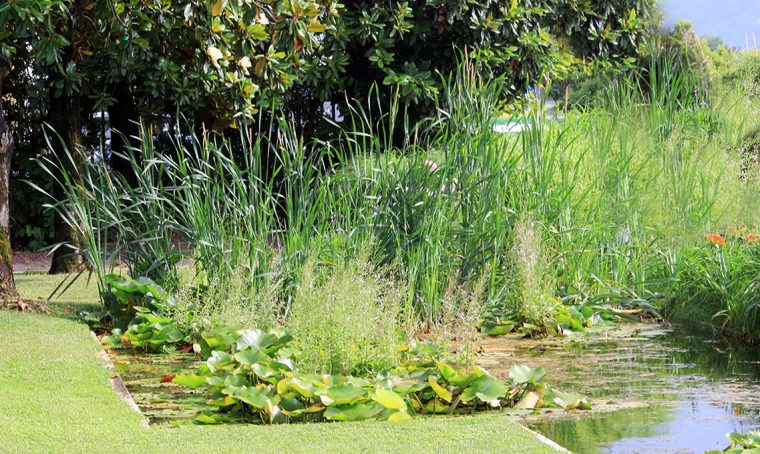 Piante Mati: lo storico vivaio pistoiese compie 110 anni