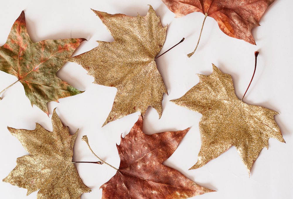 Decora le foglie autunnali con i glitter