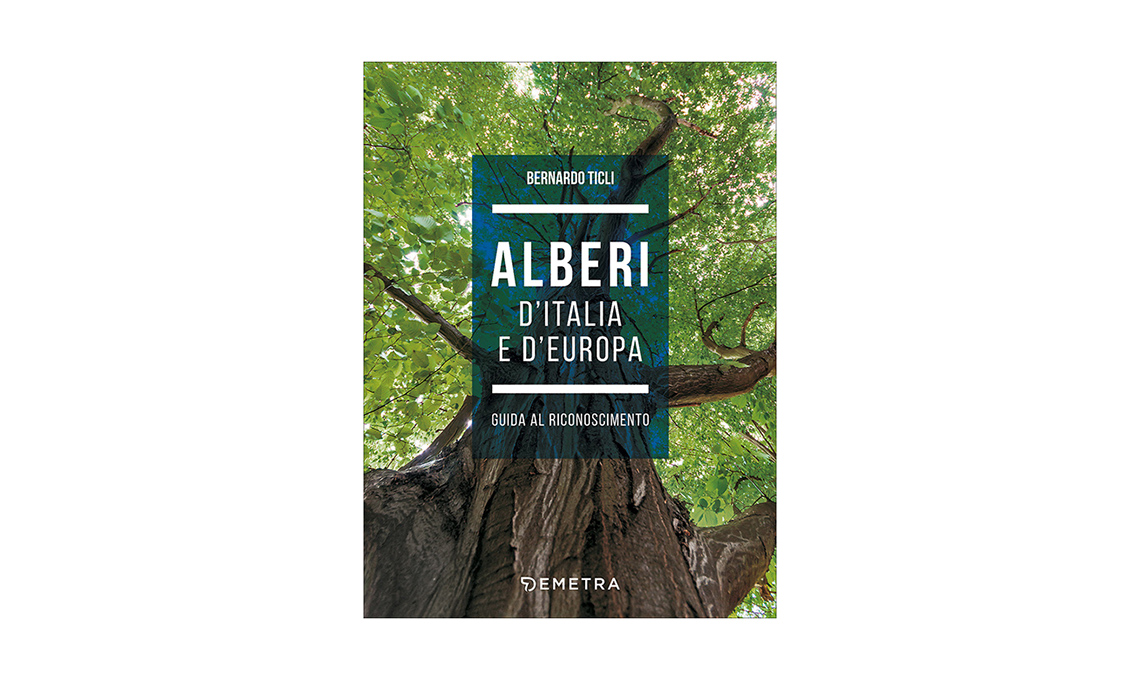 casafacile-libri-verde