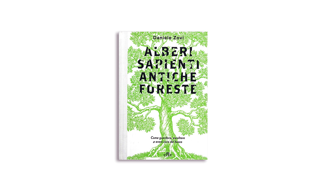 casafacile-libri-verde