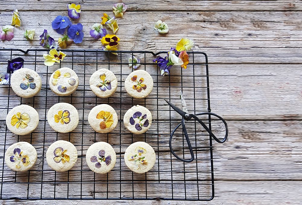 Decora i tuoi piatti con i fiori edibili
