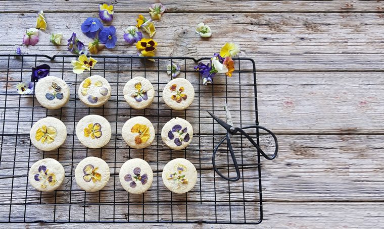 Decora i tuoi piatti con i fiori edibili