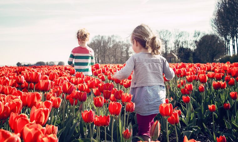 Castello di Pralormo: una giornata dedicata ai tulipani