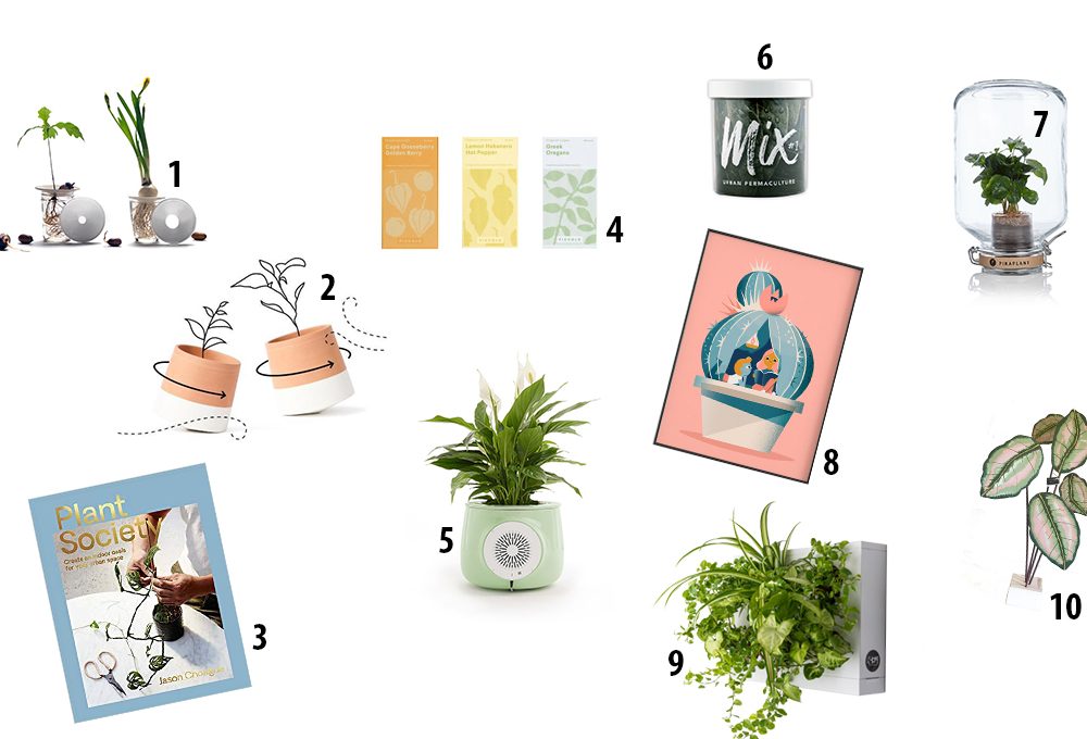 Natale: 10 regali green da non perdere