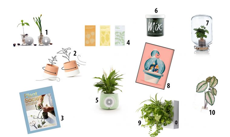 Natale: 10 regali green da non perdere