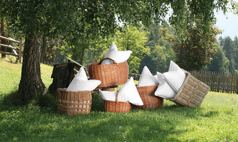 Cirmolo: il legno magico che favorisce il relax