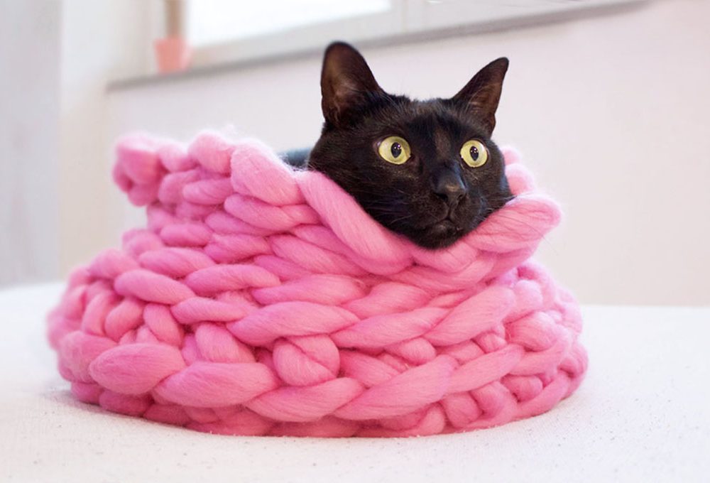 Realizzare un cuccia per i gatti in lana