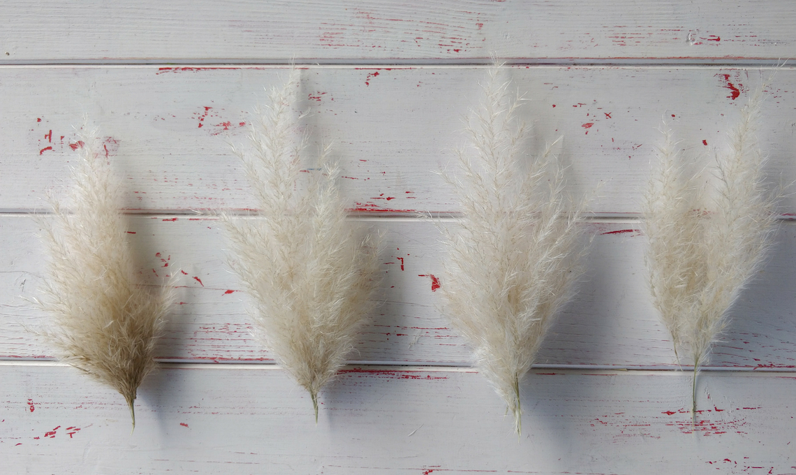 CasaFacile_StefaniaFilippi_albero di natale_da appendere_materiali_pampas