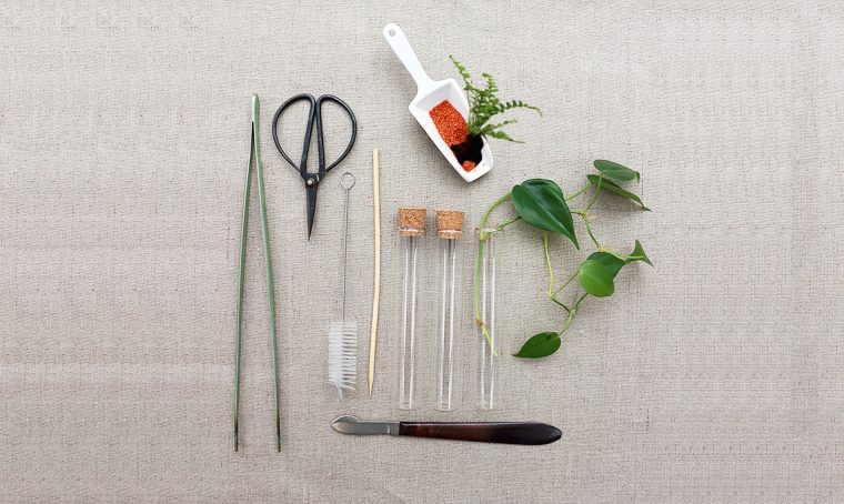 Realizza un micro-giardino con le fialette