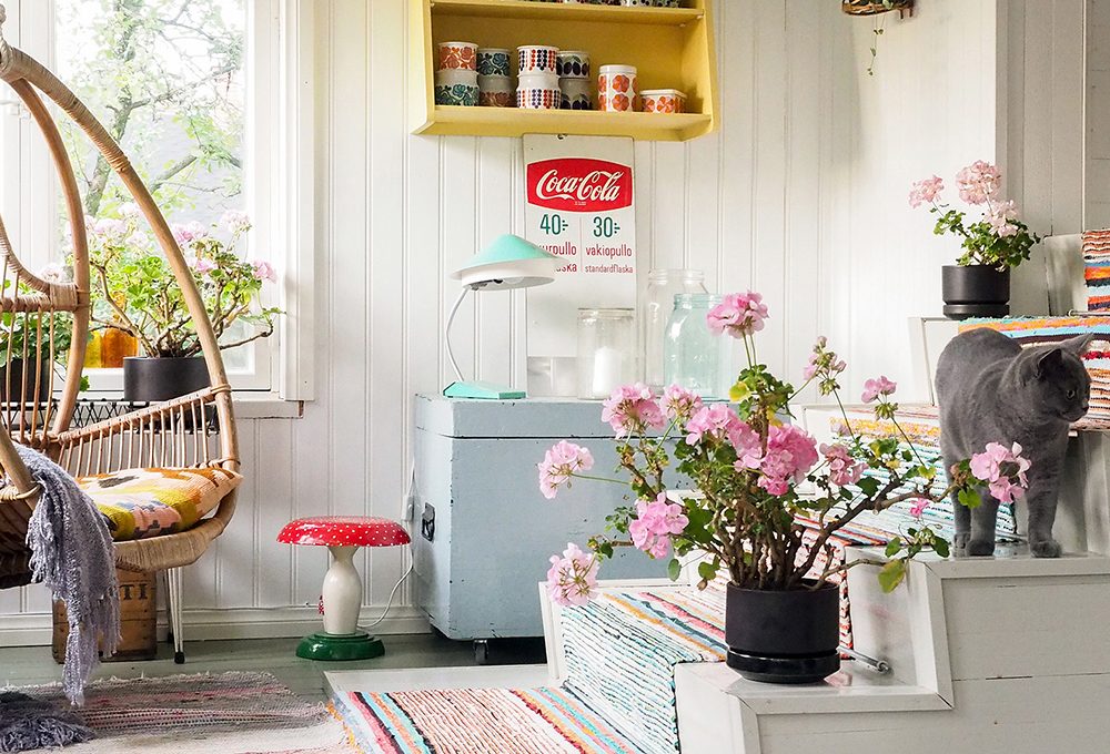 5 consigli per coltivare il pelargonio in casa