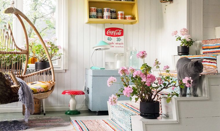 5 consigli per coltivare il pelargonio in casa