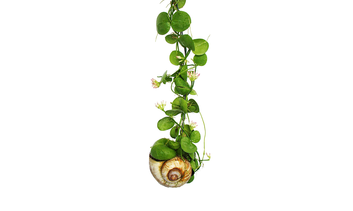 casafacile-arredo-foresta-urbana-effetto-jungle
