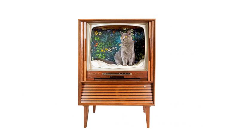 Realizzare la cuccia per il gatto nella televisione vintage