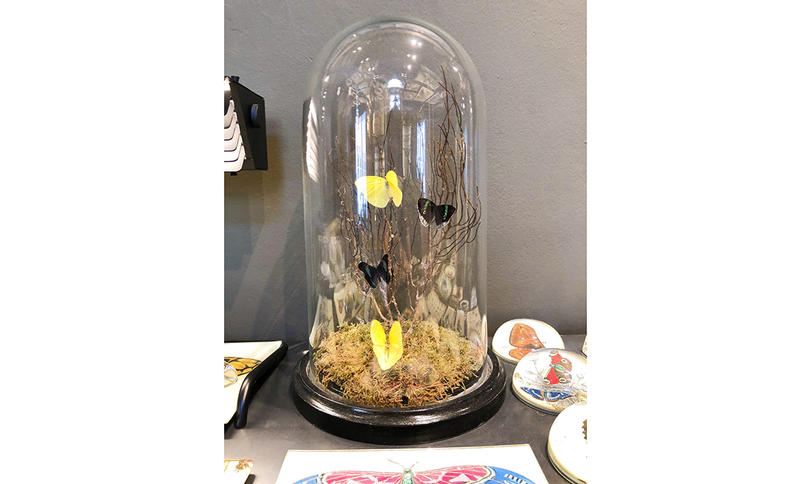 casafacile-wunderkammer