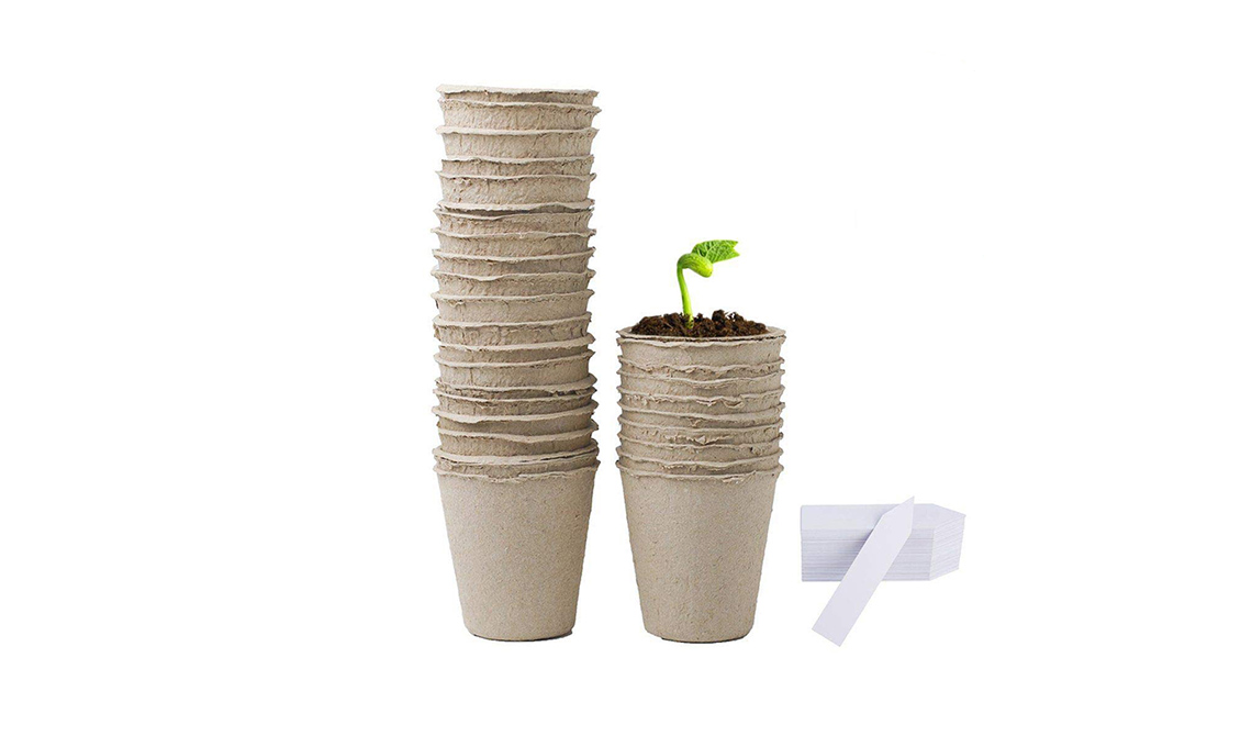 casafacile lavori di giardinaggio febbraio
