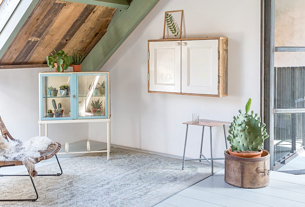 Come trasformare una vetrinetta vintage in una serra per le succulente