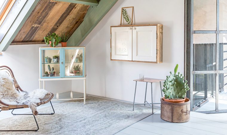 Come trasformare una vetrinetta vintage in una serra per le succulente