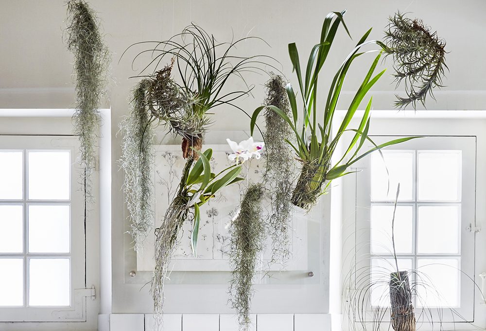 Come realizzare un floating garden