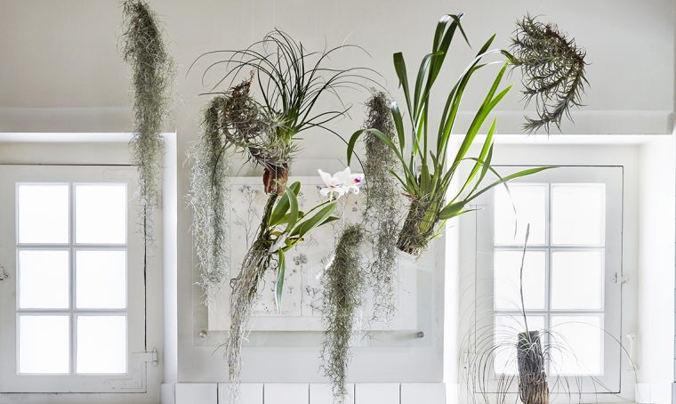 Come realizzare un floating garden