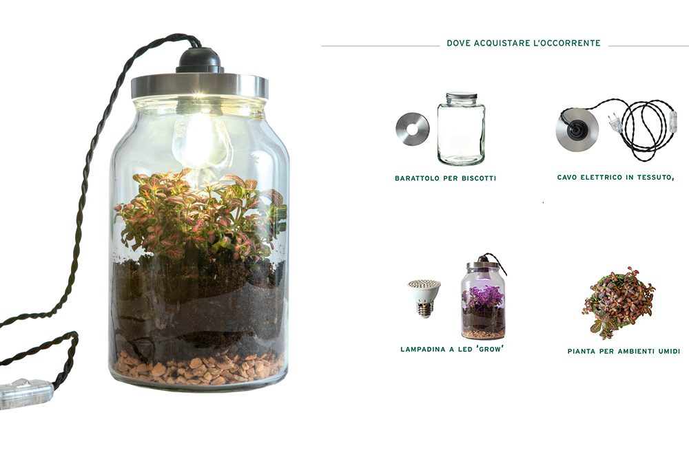 Come realizzare un terrario illuminato