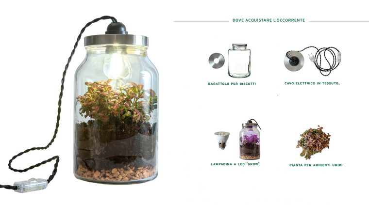 Come realizzare un terrario illuminato