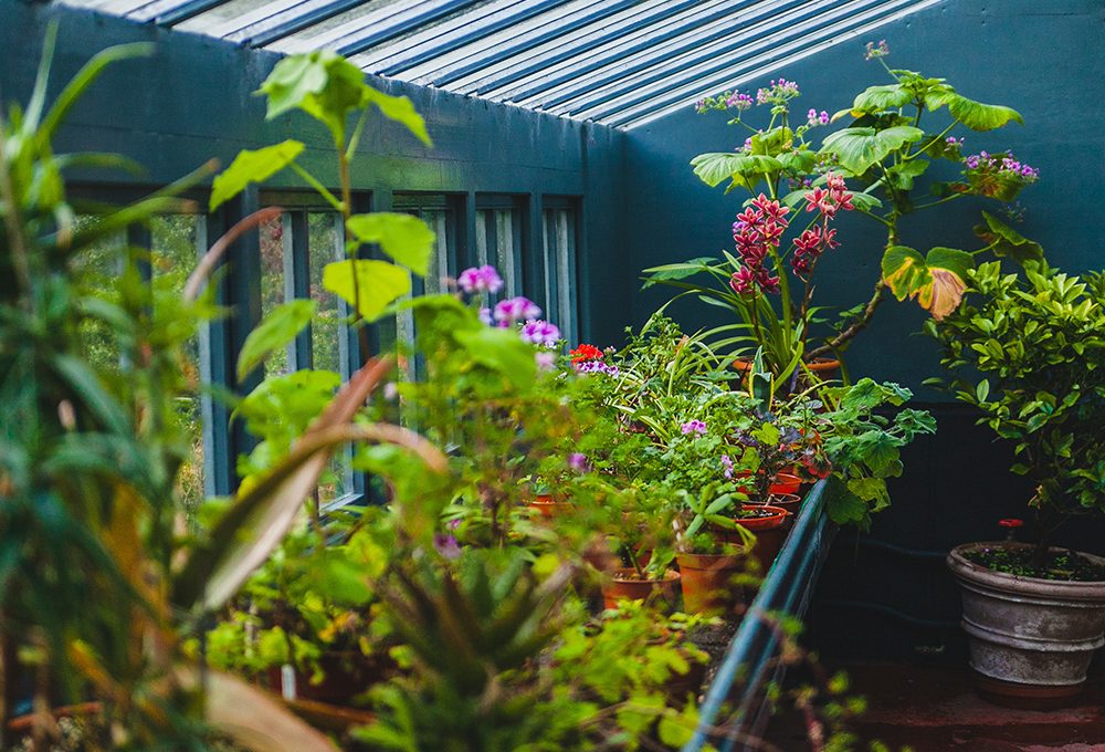 Lavori green: 5 cose da fare a febbraio