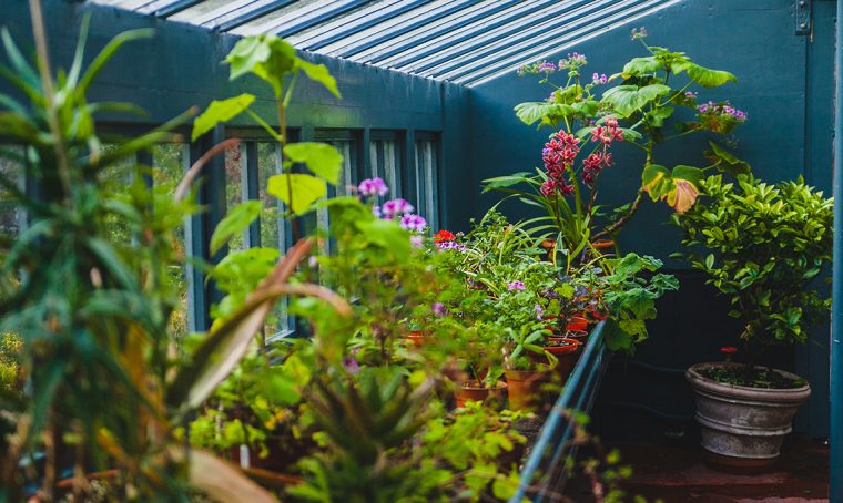 Lavori green: 5 cose da fare a febbraio
