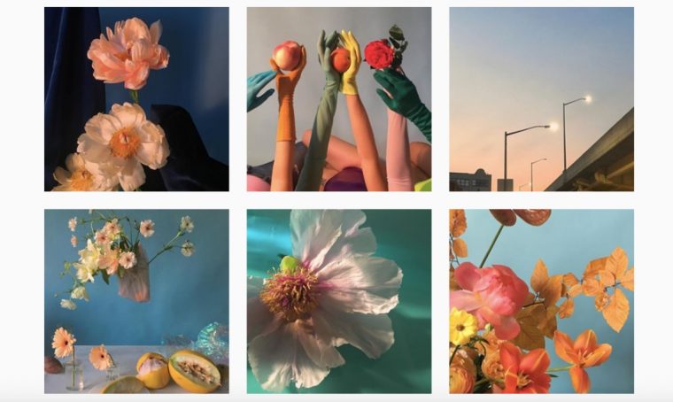 10 profili Instagram per appassionati di fiori