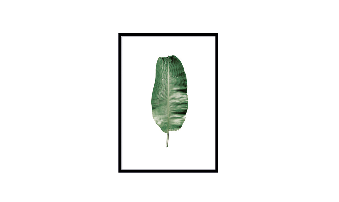 stampa botanica desenio