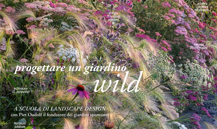 casafacile giardini spontanei