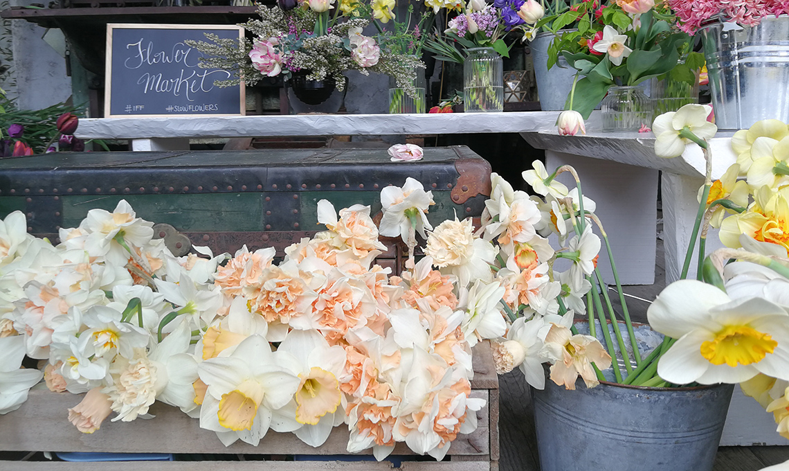Olga’s Flower Farm