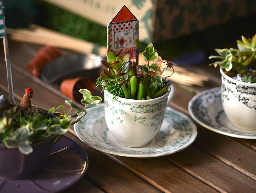 Come realizzare un mini terrario in una tazza