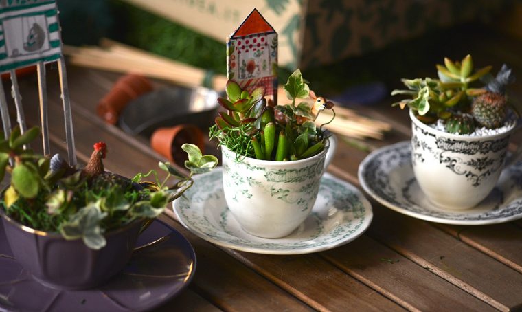 Come realizzare un mini terrario in una tazza