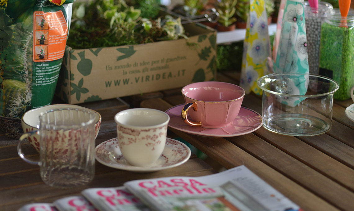 Micro-mondi in tazza