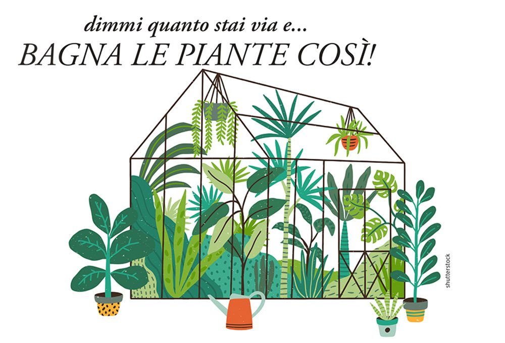 Come innaffiare le piante durante le vacanze