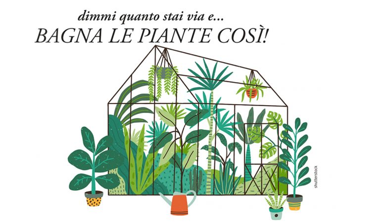 Come innaffiare le piante durante le vacanze