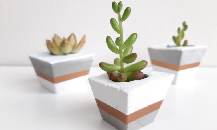 Crea un vaso in cemento in 7 facili passaggi