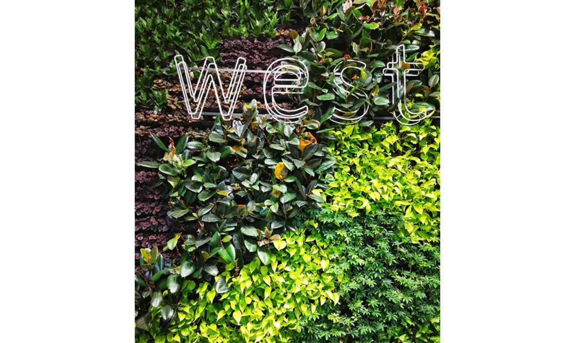 West Elm