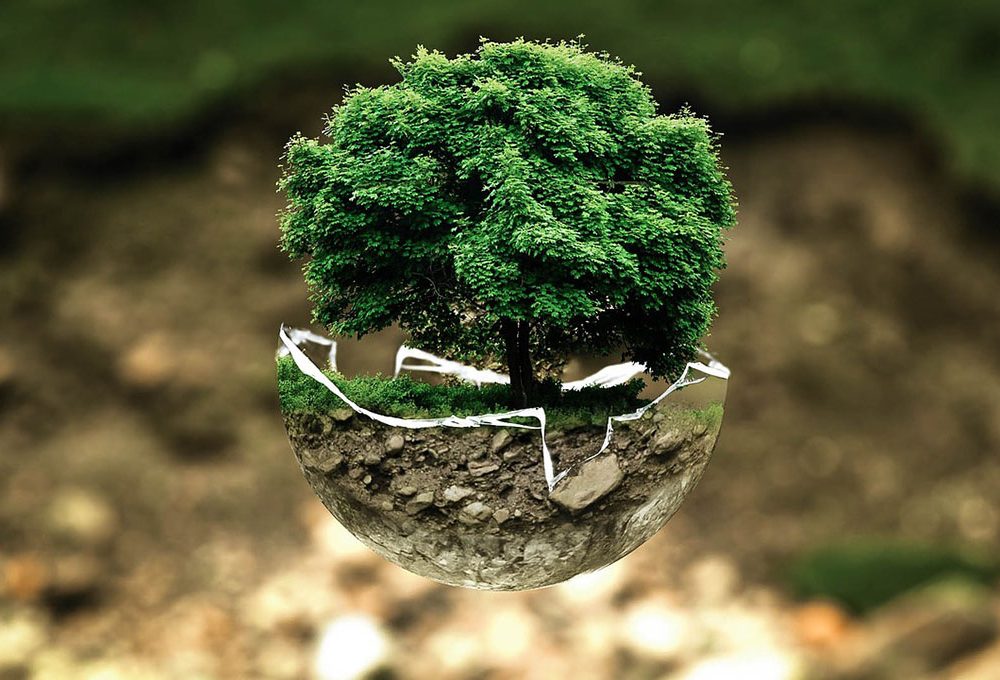EcoLamp: consigli utili per rendere la mobilità ancora più sostenibile