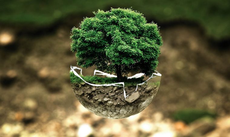 EcoLamp: consigli utili per rendere la mobilità ancora più sostenibile