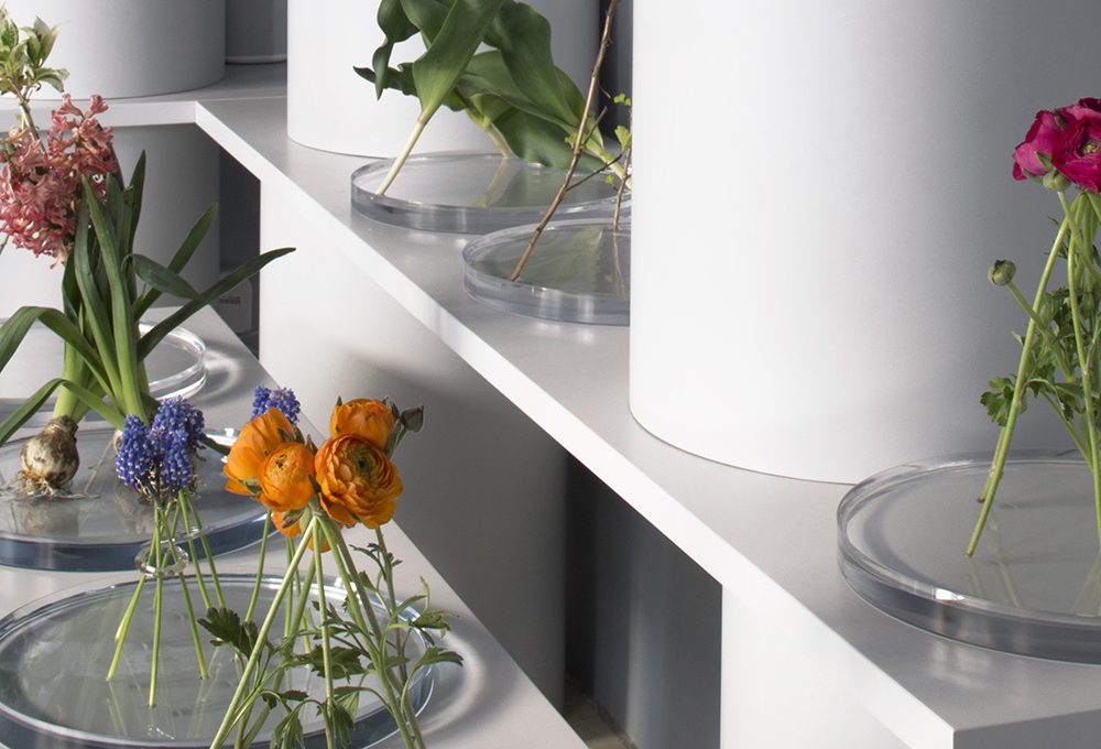 Green Wise: il Giappone punta sullo ‘slow green’
