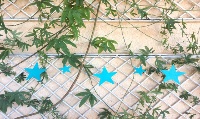 Come creare il festone di stelle luminose