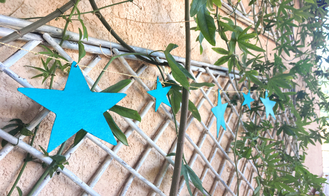 festoni stelle luminose
