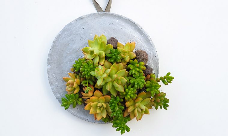 Realizza un planter per succulente in cemento da appendere