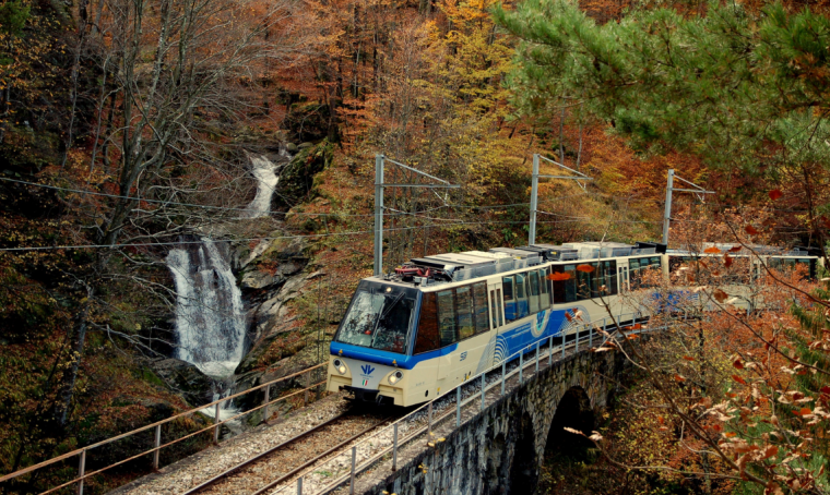 Treno del foliage: viaggio panoramico tra i colori dell’autunno
