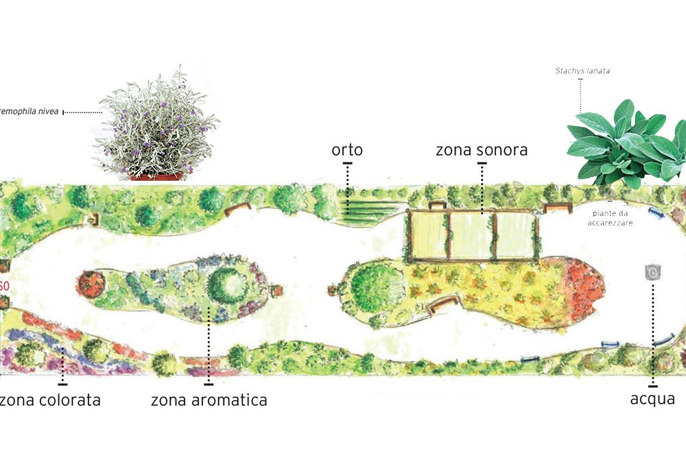 Scopri il ‘green power’ dei giardini terapeutici