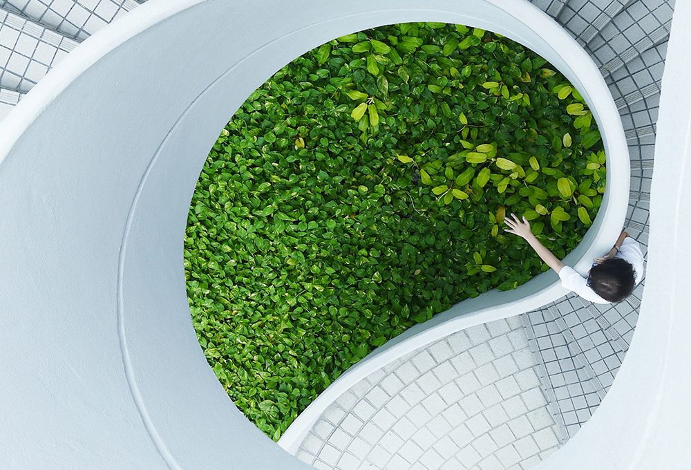 Giardinaggio: gli appuntamenti verdi di ottobre